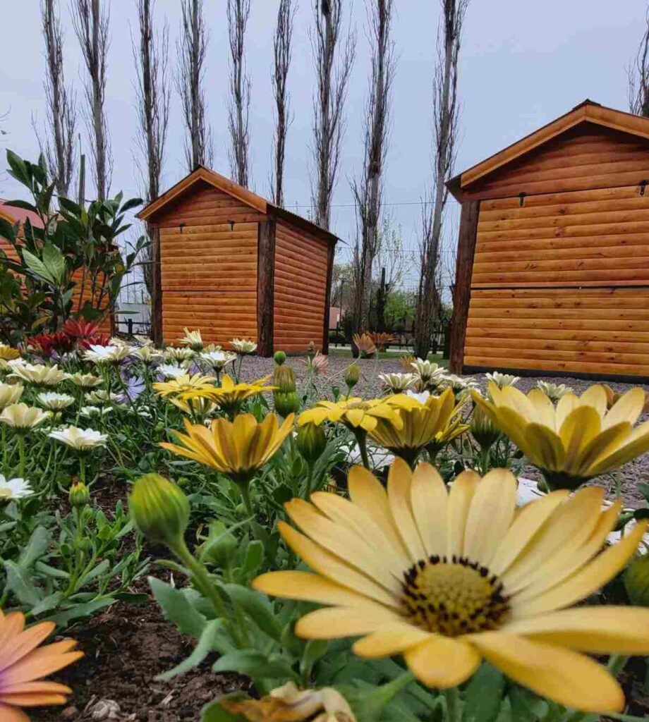 Galarza Paseo de Emprendedores