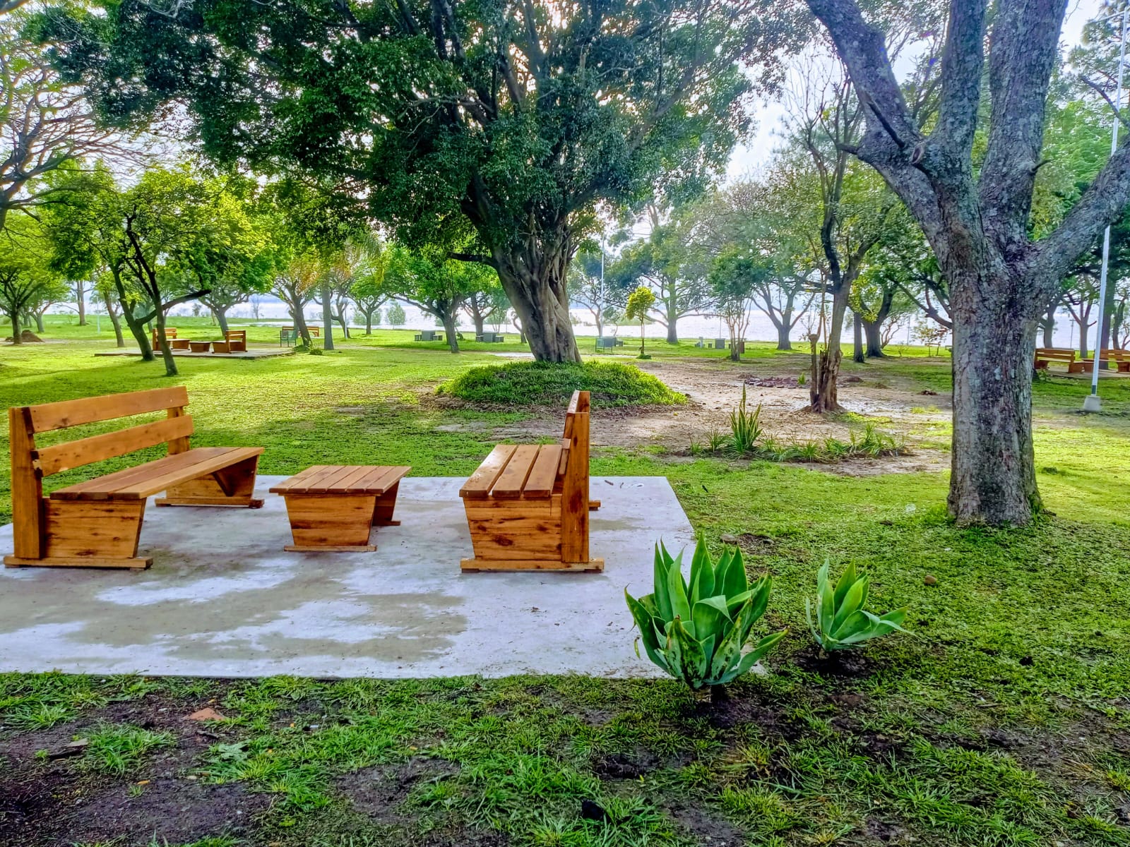 Federación se prepara para un Verano Intenso