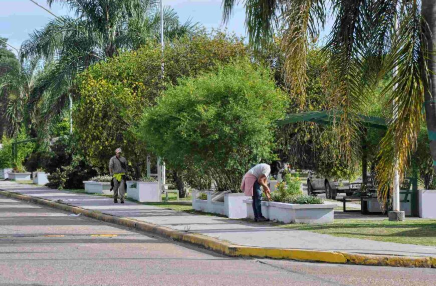 Maciá: Mantenimiento de Espacios Públicos