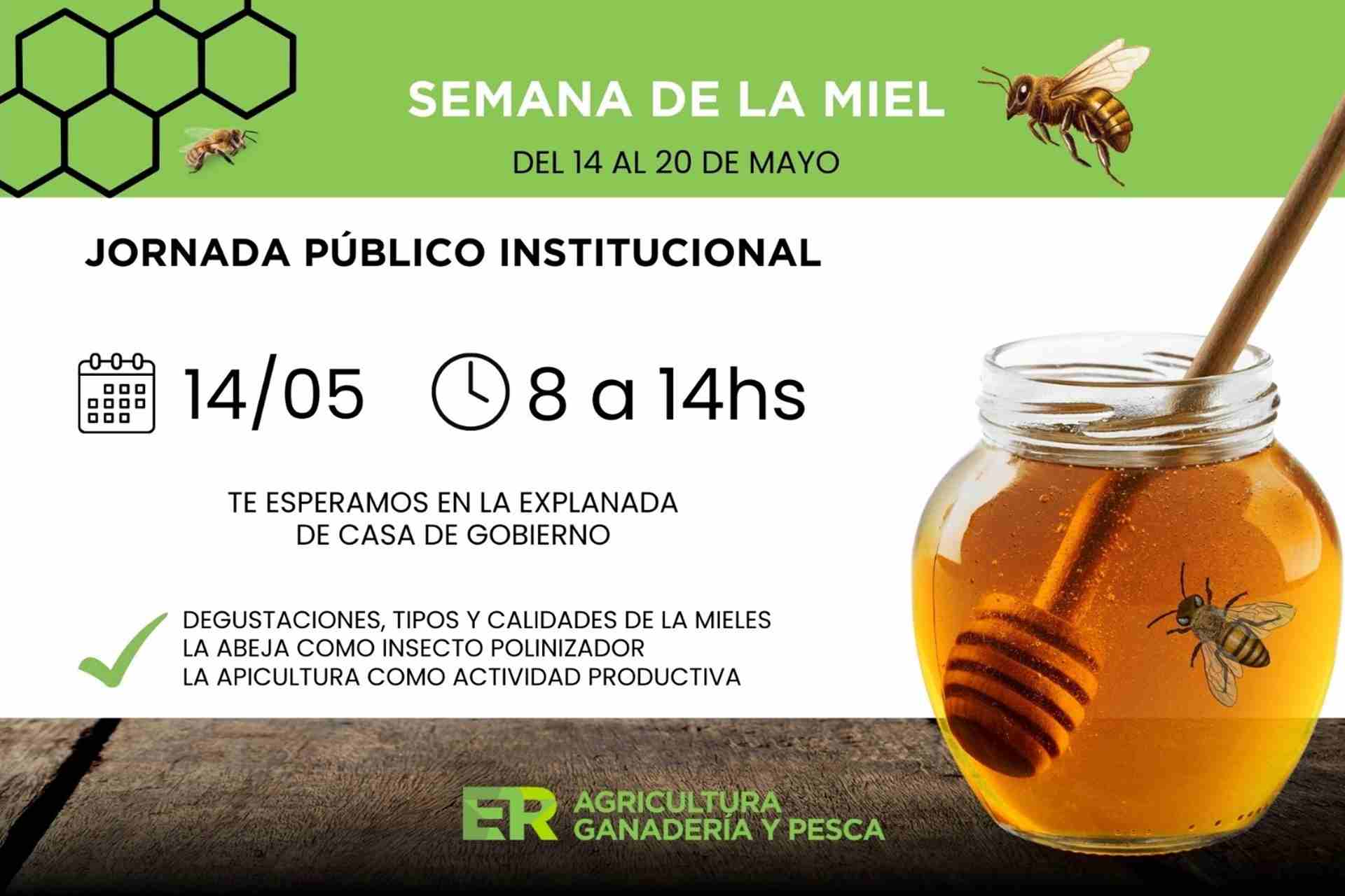 Realizarán una jornada pública institucional para difundir la apicultura como actividad productiva