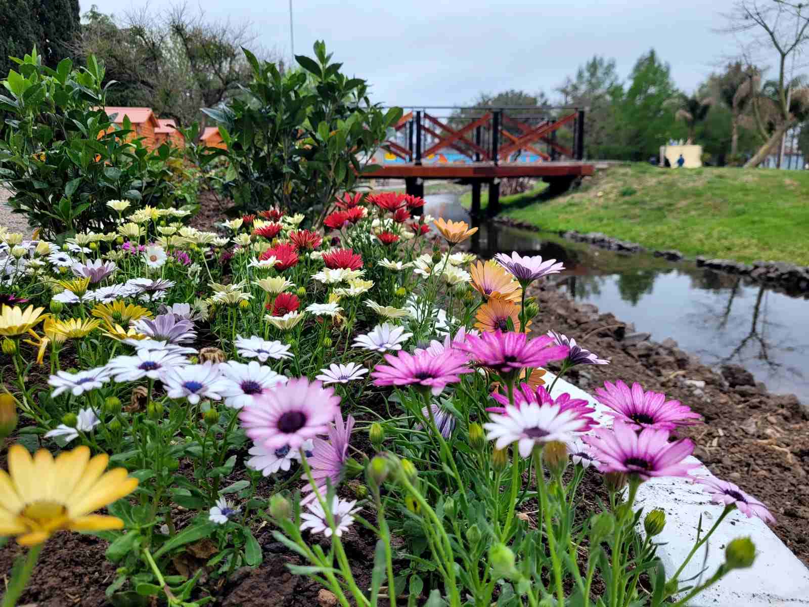 General Galarza celebra el Día del Amigo con música, feria y alegría