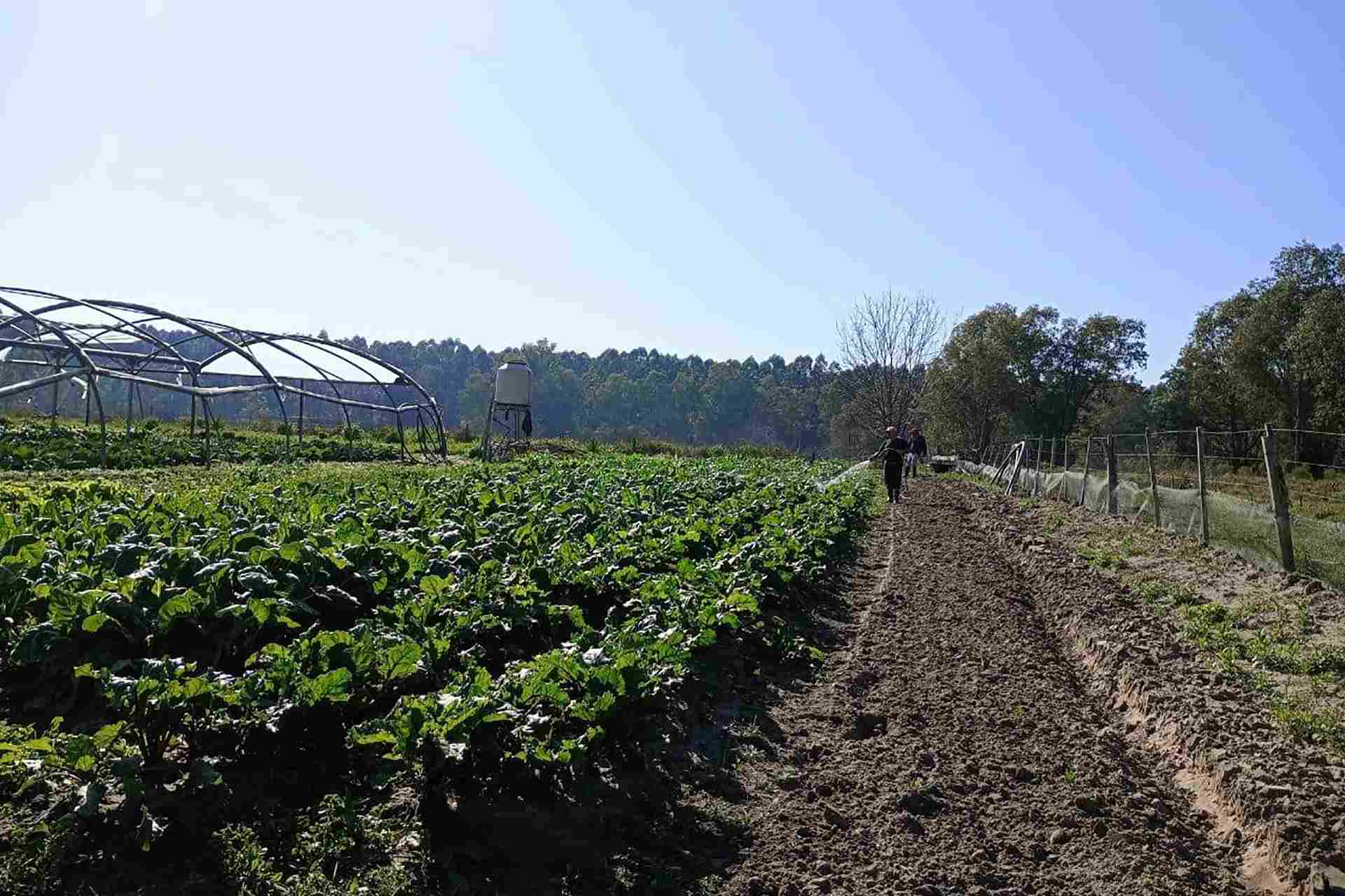 Se conformó el Consejo Local de Educación, Trabajo y Producción en Victoria