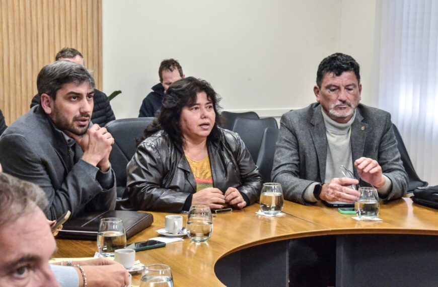 Dictamen favorable al proyecto de sostenibilidad de la deuda pública provincial