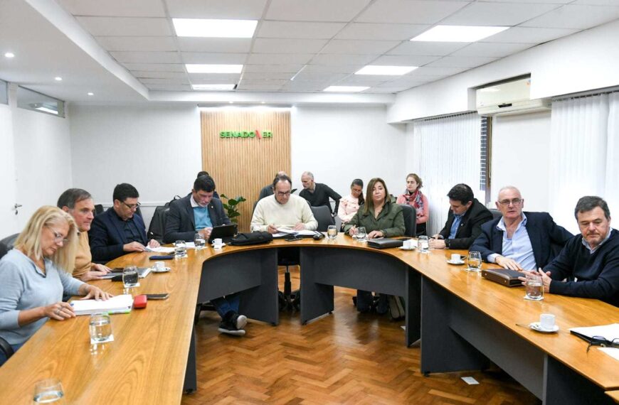 Senadores avanzaron con modificaciones al proyecto de Mecenazgo al Deporte