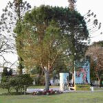 Feliciano impulsa exención de tasas inmobiliarias para jubilados