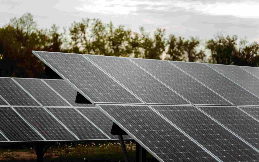 Enersa impulsa la energía limpia con sus primeros parques solares en Entre Ríos