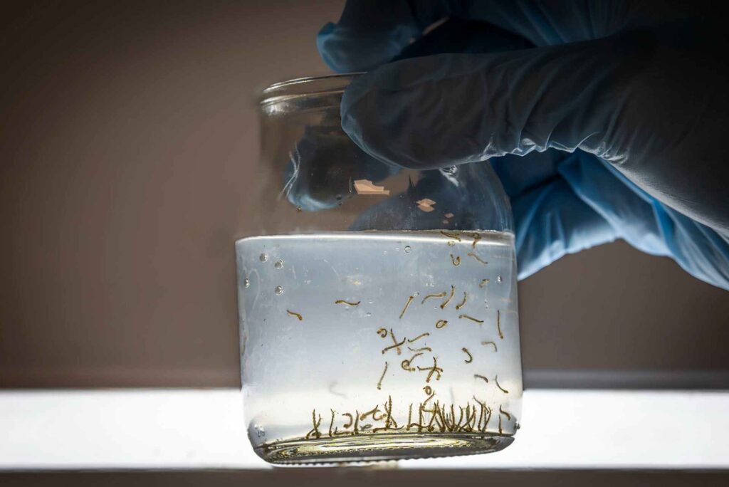 Ante la presencia de lluvias en la provincia, Salud recuerda las medidas de prevención del dengue