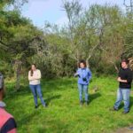 Promueven prácticas de conservación y manejo sustentable del bosque nativo