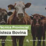 La provincia y entidades de productores impulsan un programa para combatir la tristeza bovina