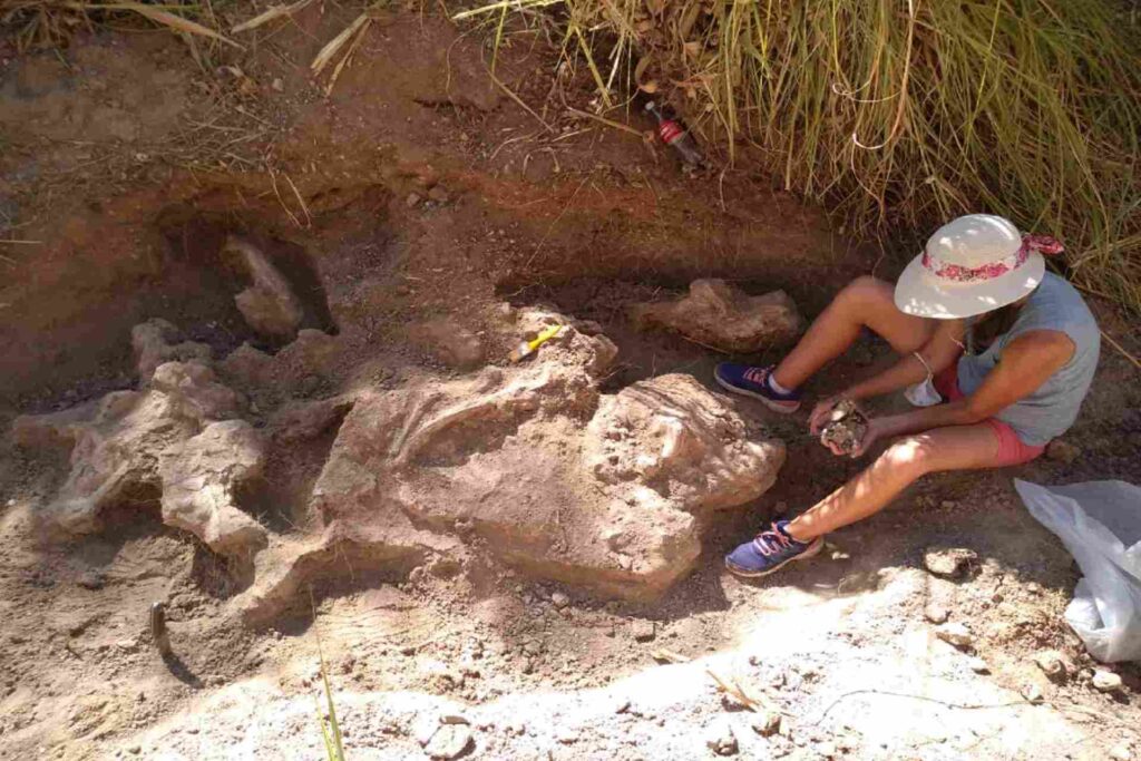 El Museo Serrano participa del Congreso de la Asociación Paleontológica Argentina