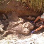 El Museo Serrano participa del Congreso de la Asociación Paleontológica Argentina