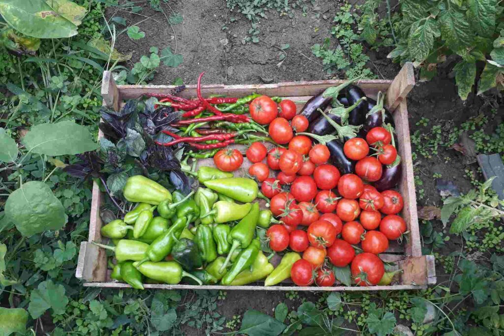 La provincia impulsa sus sistemas productivos ecológicos desde las comunas