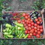 La provincia impulsa sus sistemas productivos ecológicos desde las comunas