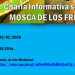 Brindarán una capacitación sobre el combate de la mosca de los frutos en Concordia