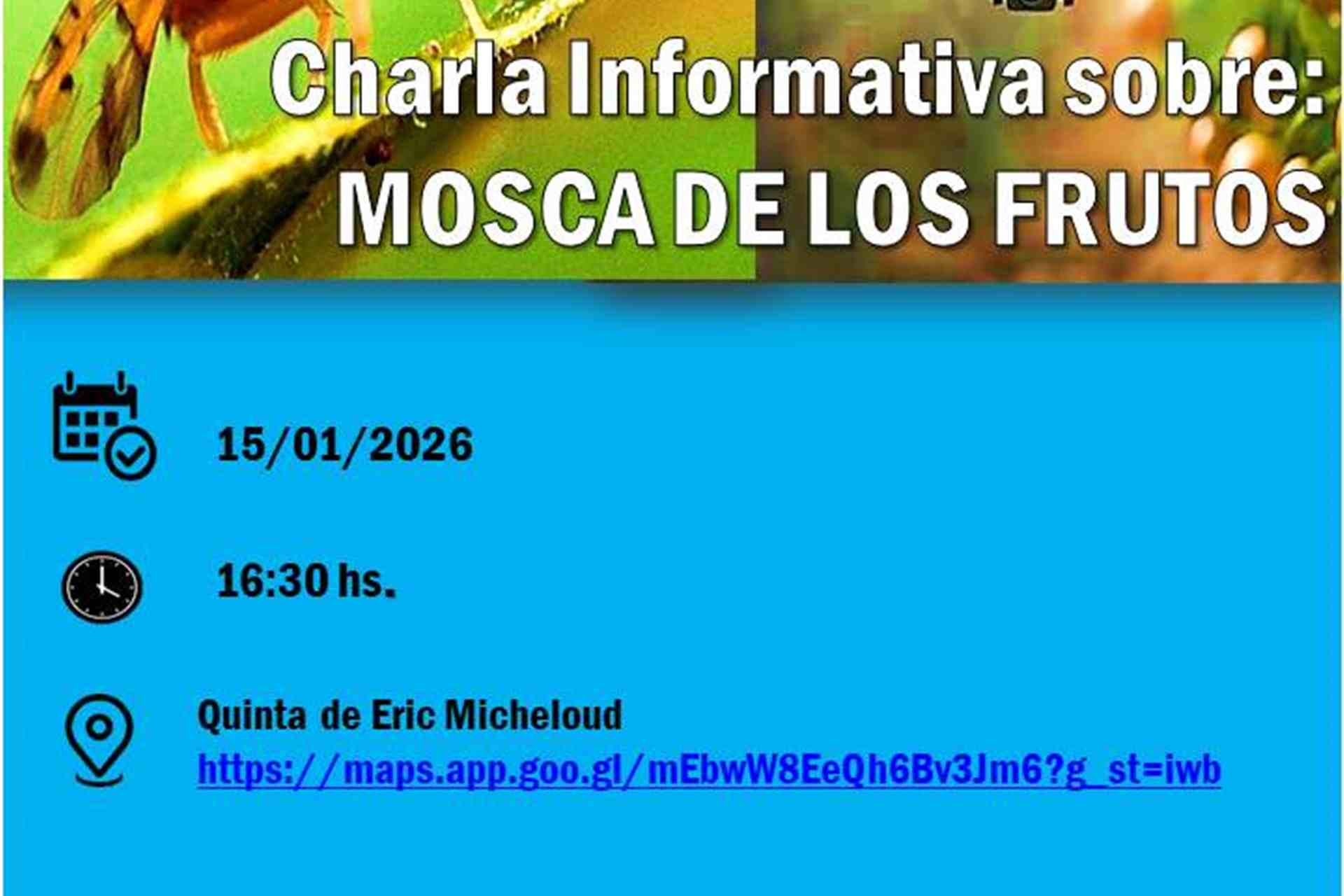 Brindarán una capacitación sobre el combate de la mosca de los frutos en Concordia