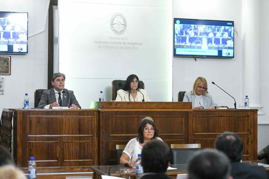 La Cámara de Senadores realizó su sesión preparatoria