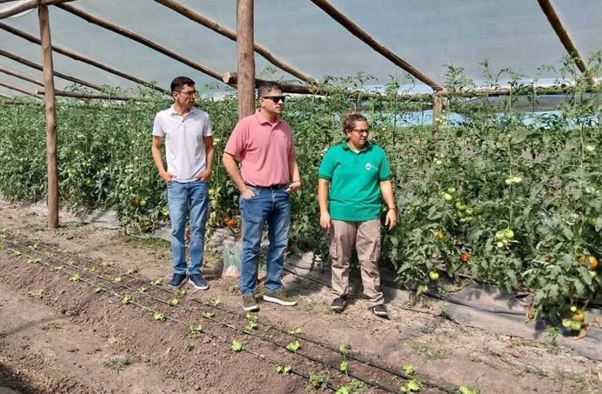 Feliciano consolida el Polo Hortícola Municipal como motor de trabajo y producción local