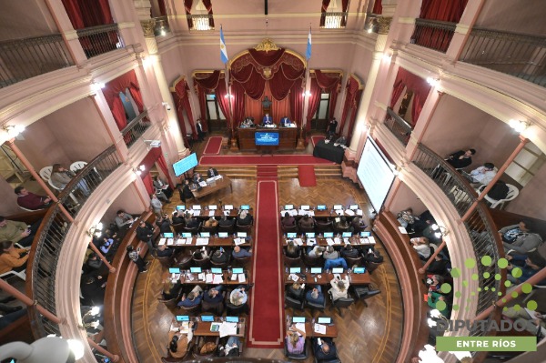 Blanzaco presentó ante la Cámara de Diputados un informe sobre el fortalecimiento de la red de salud mental