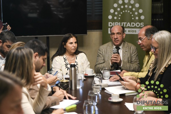 Avances en el proyecto que establece el Procedimiento de Juicio Político