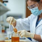 Entre Ríos lidera la producción de miel orgánica y consolida su perfil exportador con estándares internacionales