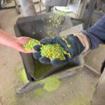 San José reafirma su compromiso con el cuidado del medio ambiente