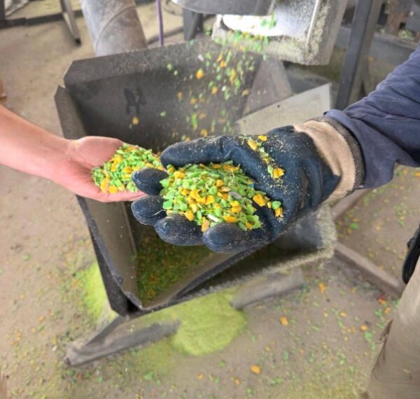 San José reafirma su compromiso con el cuidado del medio ambiente