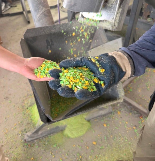 San José reafirma su compromiso con el cuidado del medio ambiente