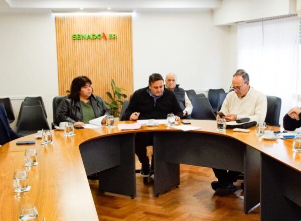 Senadores analizaron este martes varios proyectos de ley