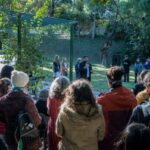  El Municipio lanzó la 5° edición del programa Diseña Paraná