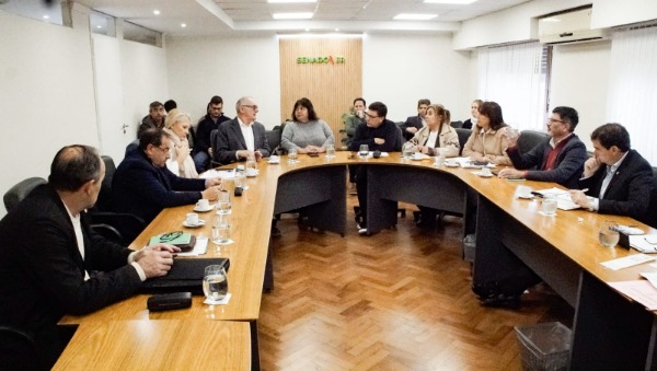 Senadores analizaron proyectos: Consorcios Camineros y modificación de Ley de Obras Públicas