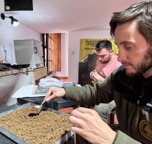El Palmar inicia incubación mecanizada de semillas de Butia yatay