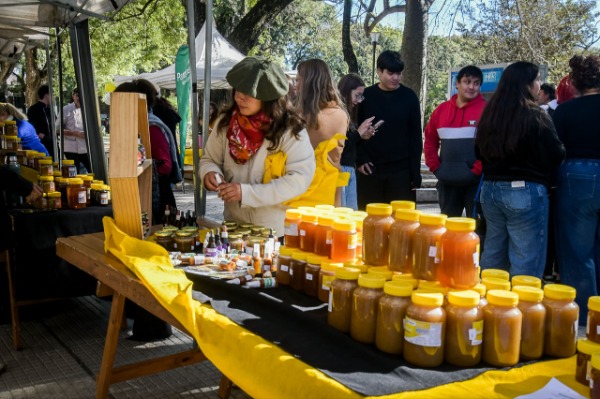 Semana de la Miel en Paraná con ferias de producciones locales