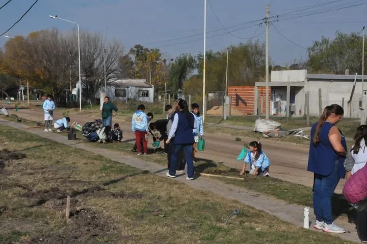 Maciá Sustentable: más de 60 árboles nativos y transformación urbana en el barrio San Roque
