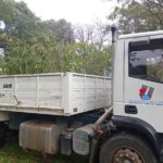 Concepción del Uruguay incorporó 300 árboles al Programa Municipal de Arbolado