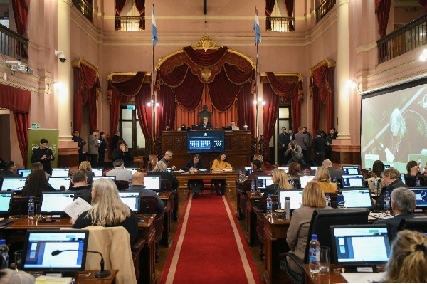 La Cámara de Diputados dio ingreso a la reforma previsional y otorgó media sanción al incentivo para el comercio