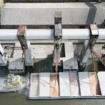 Entre Ríos superó los 1.000 millones de dólares en exportaciones durante el primer semestre de este año