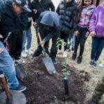 Refuerzan la plantación de árboles nativos en Paraná: la Escuela Soler recibió varios ejemplares