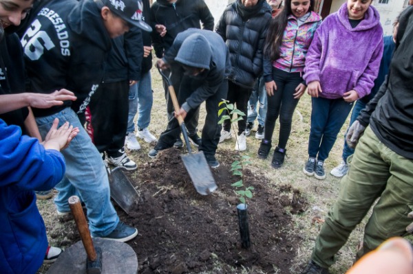 Refuerzan la plantación de árboles nativos en Paraná: la Escuela Soler recibió varios ejemplares