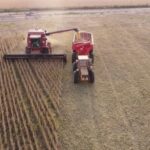 Estadísticas revelan que la provincia logró el mejor rendimiento agrícola de los últimos 25 años