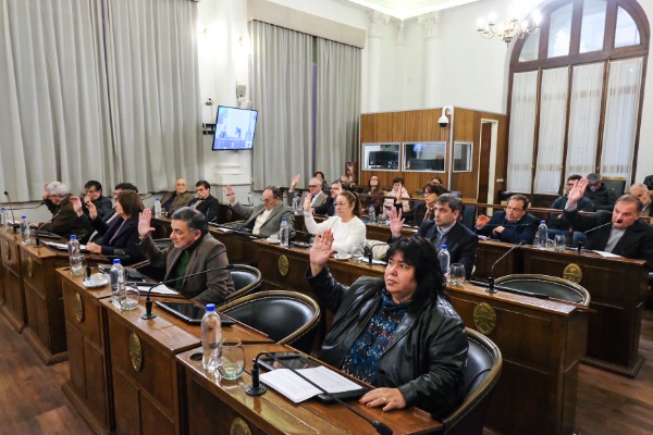 El Senado convirtió en ley la reglamentación del artículo 60 de la Constitución