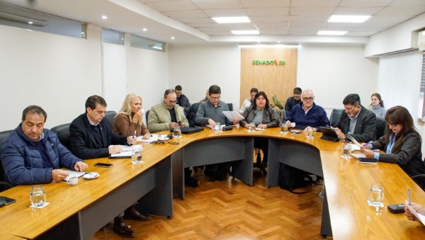 Trabajo en Comisiones: dictamen favorable para tres proyectos de ley