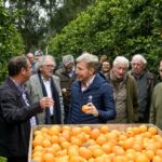 Frigerio recorrió plantaciones de cítricos en Concordia y destacó el potencial del sector para crecer y exportar