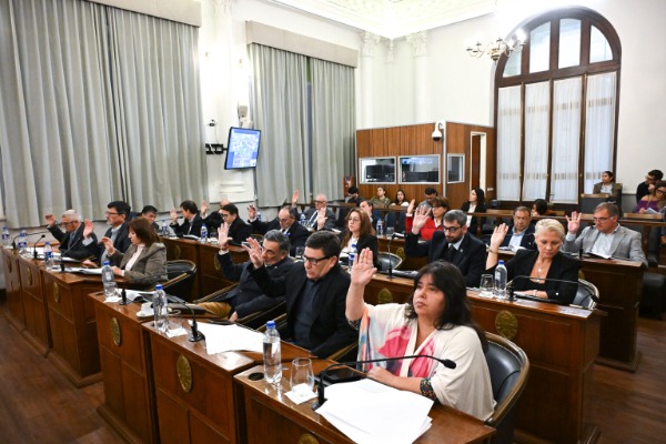 El Senado prestó acuerdo para los cargos de presidente y vocales del CGE