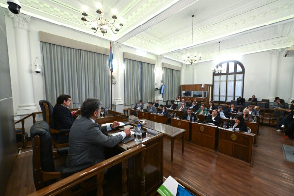 El Senado aprobó proyectos de producción avícola industrial y de alivio fiscal