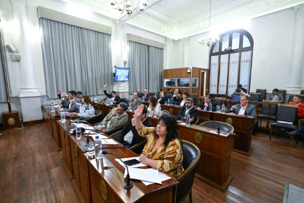 El Senado sancionó la creación de la Comisión de Seguimiento de la Deuda Pública
