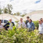 El gobernador recorrió una empresa exportadora de arándanos, cítricos dulces y frambuesas en Colonia Ayuí